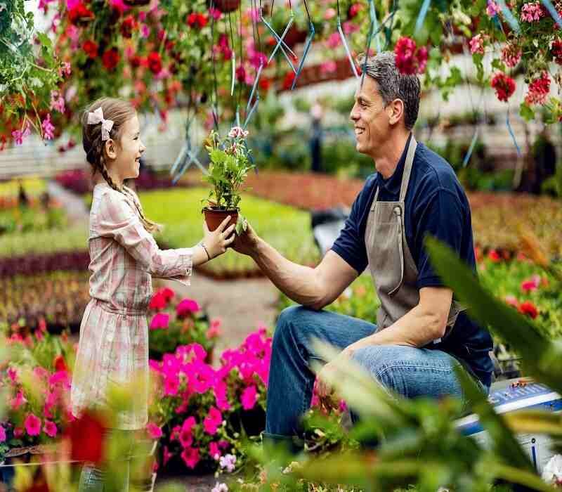 robert mygardenandpatio